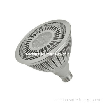 PAR38 LED Bulb 17W 9LEDs